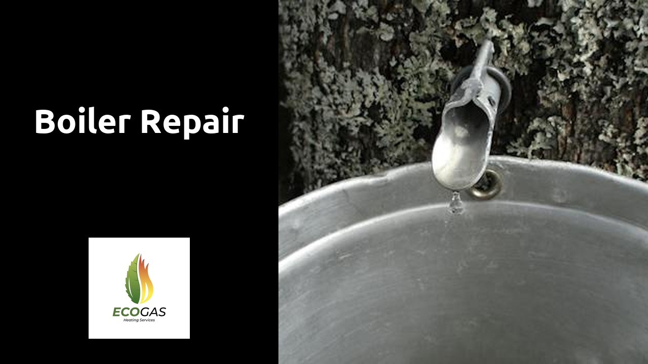 Boiler Repair